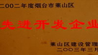 2002年萊山區(qū)先進(jìn)開(kāi)發(fā)單位