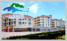 萬光觀海花園——煙臺(tái)黃金海岸C位 坐擁無界海景視野